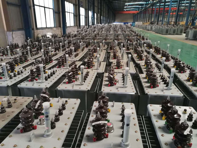 牟定100KVA油浸式变压器